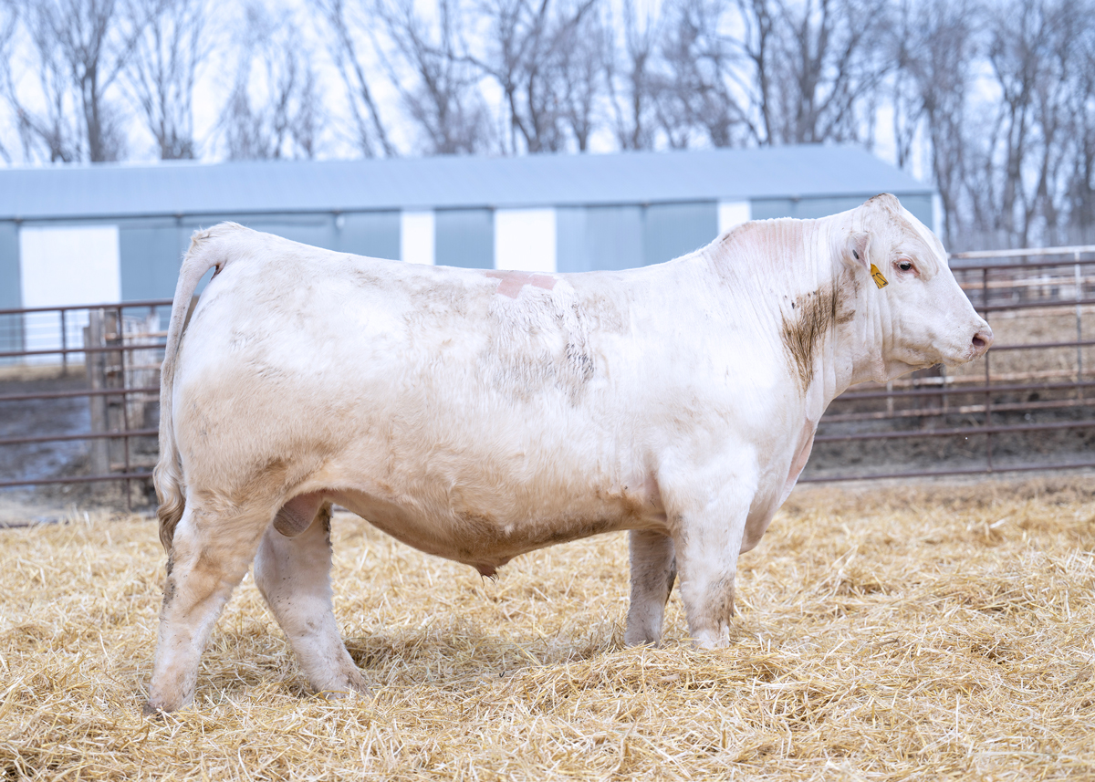 WCR-Sir-BlackJack-276-P_Web