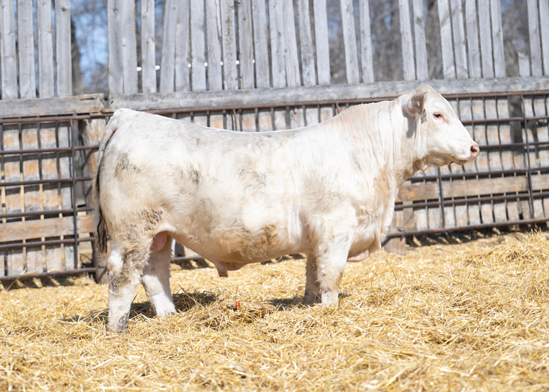 WCR-Sir-Border-Patrol-4418-P_Web