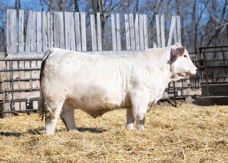 WCR-The-Equalizer-4277-P_Web