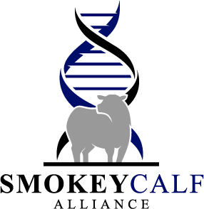 smokey calf alliance_WEB Large