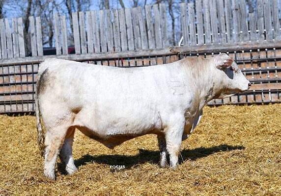 WCR Fortress 0516 ET P